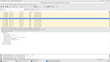 OSPF Listing